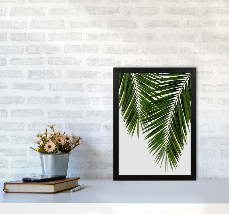 Palm Leaf II Print By Orara Studio, Framed Botanical & Nature Art Print A3 White Frame