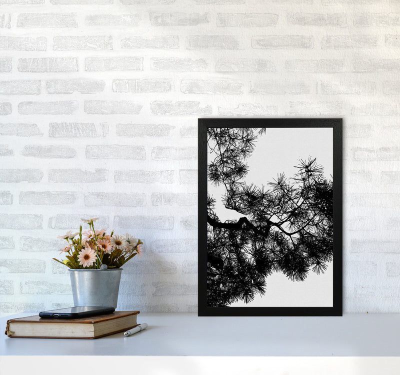 Pine Tree Black & White Print By Orara Studio A3 White Frame