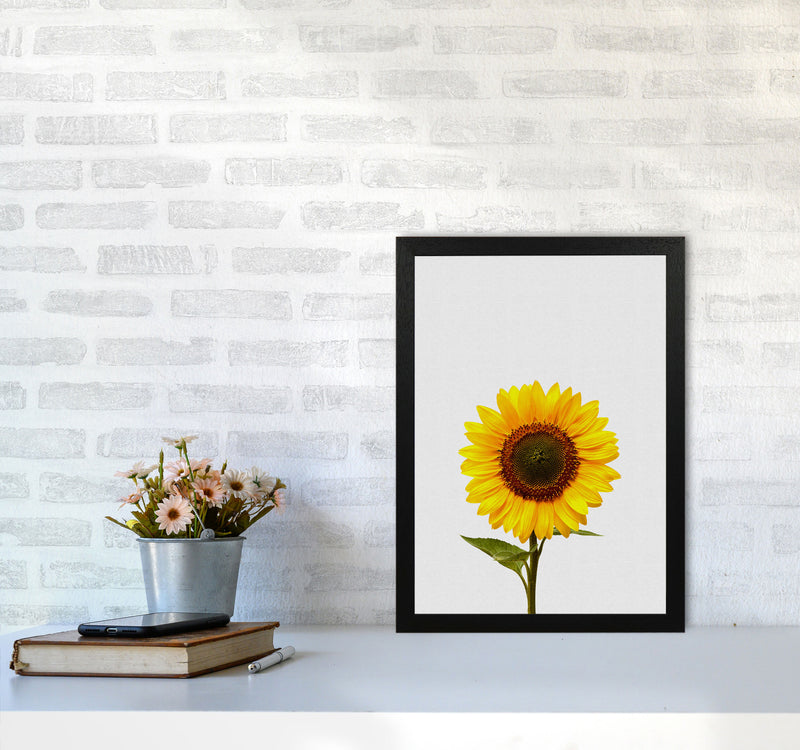 Sunflower Still Life Print By Orara Studio, Framed Botanical & Nature Art Print A3 White Frame