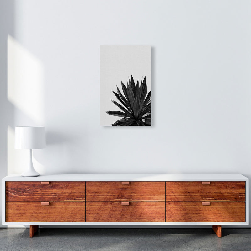 Agave Cactus Black And White Print By Orara Studio, Framed Botanical Nature Art A3 Canvas