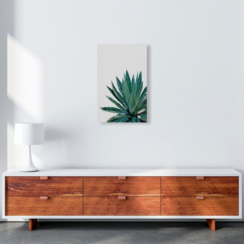 Agave Cactus Print By Orara Studio, Framed Botanical & Nature Art Print A3 Canvas