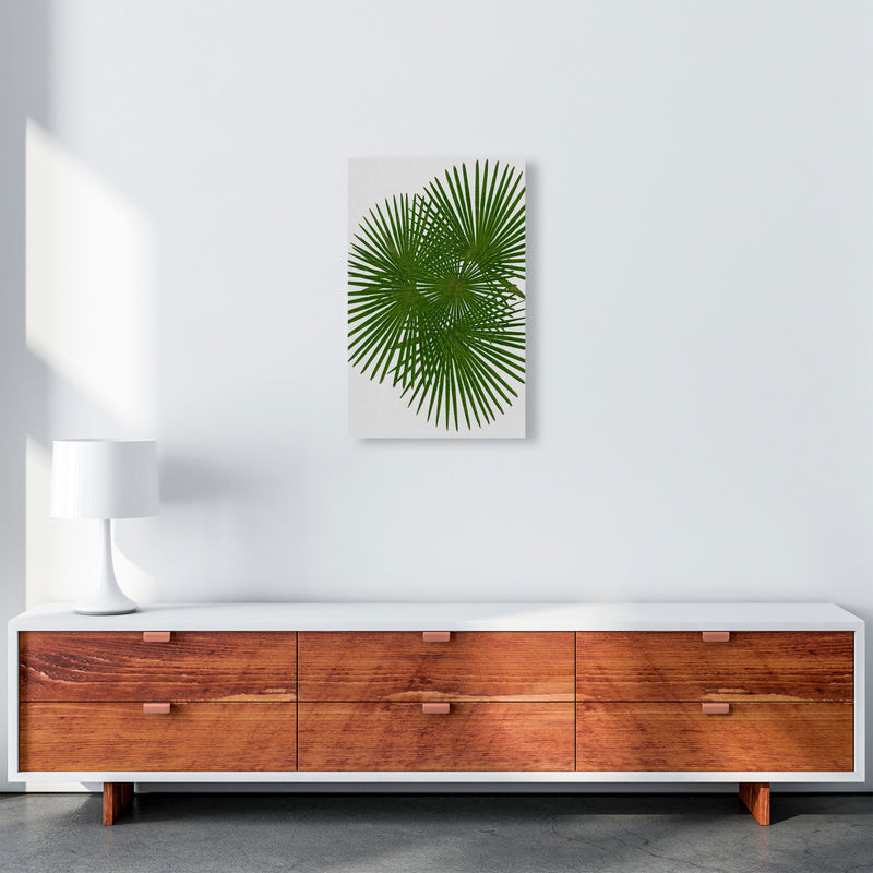 Fan Palm Print By Orara Studio, Framed Botanical & Nature Art Print A3 Canvas