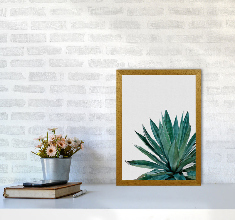 Agave Cactus Print By Orara Studio, Framed Botanical & Nature Art Print A3 Print Only