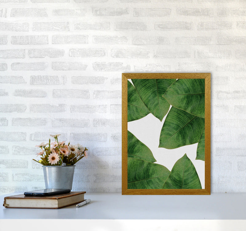 Banana Leaf II Print By Orara Studio, Framed Botanical & Nature Art Print A3 Print Only