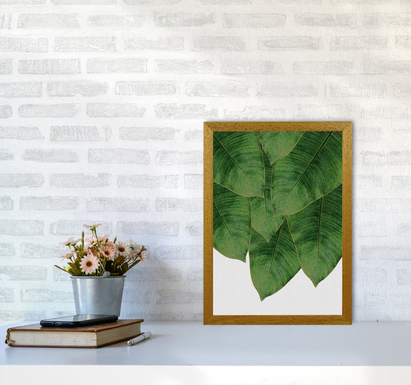Banana Leaf III Print By Orara Studio, Framed Botanical & Nature Art Print A3 Print Only