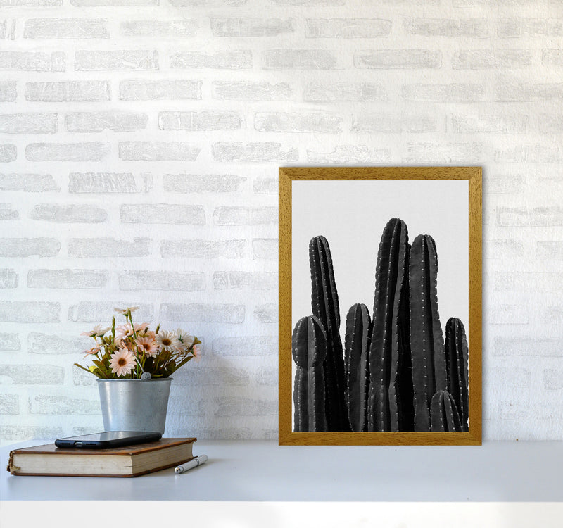 Cactus Black And White Print By Orara Studio, Framed Botanical Art A3 Print Only