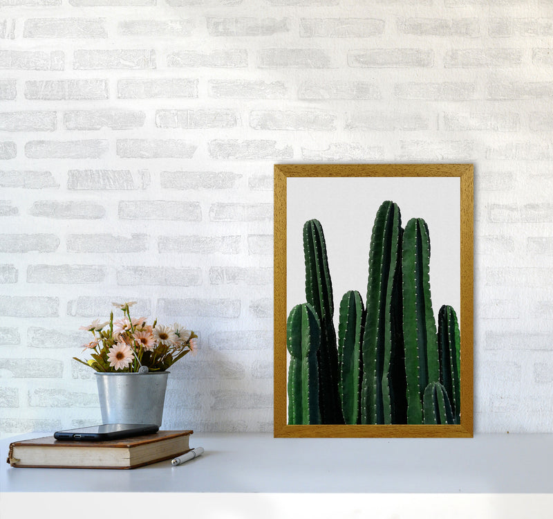 Cactus I Print By Orara Studio, Framed Botanical & Nature Art Print A3 Print Only