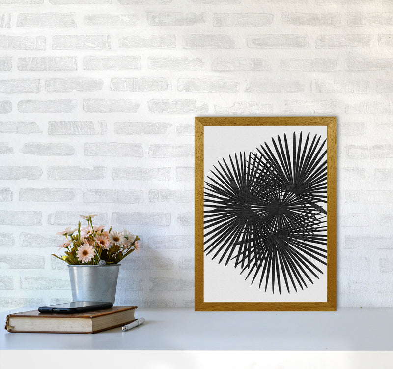 Fan Palm Black & White Print By Orara Studio A3 Print Only
