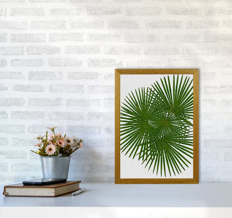 Fan Palm Print By Orara Studio, Framed Botanical & Nature Art Print A3 Print Only