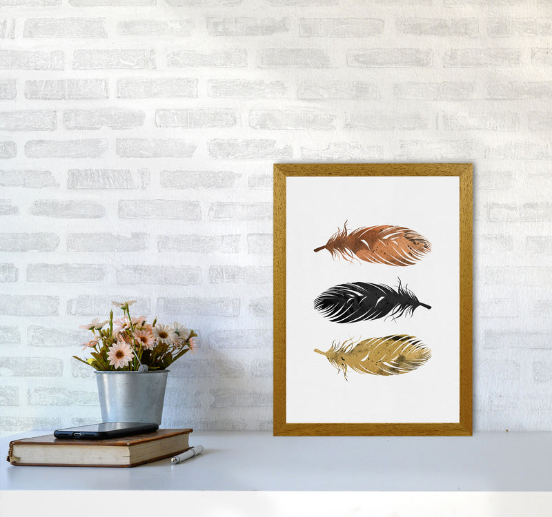 Feathers Print By Orara Studio, Framed Botanical & Nature Art Print A3 Print Only