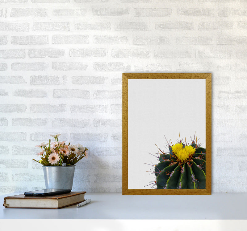 Flower Cactus Print By Orara Studio, Framed Botanical & Nature Art Print A3 Print Only