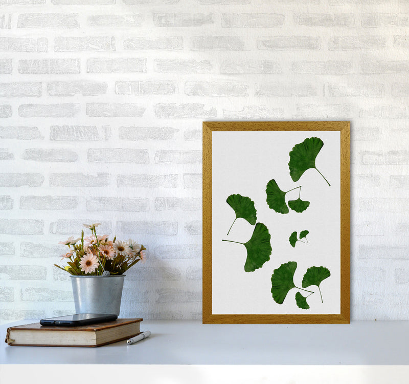 Ginkgo Leaf I Print By Orara Studio, Framed Botanical & Nature Art Print A3 Print Only