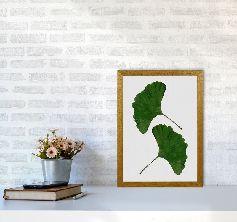 Ginkgo Leaf II Print By Orara Studio, Framed Botanical & Nature Art Print A3 Print Only
