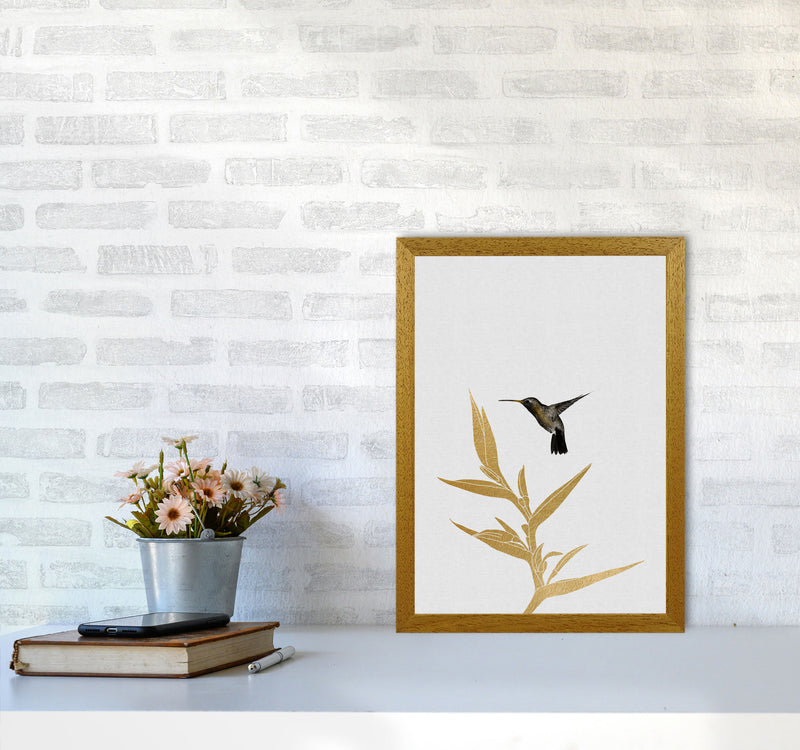 Hummingbird & Flower II Print By Orara Studio A3 Print Only