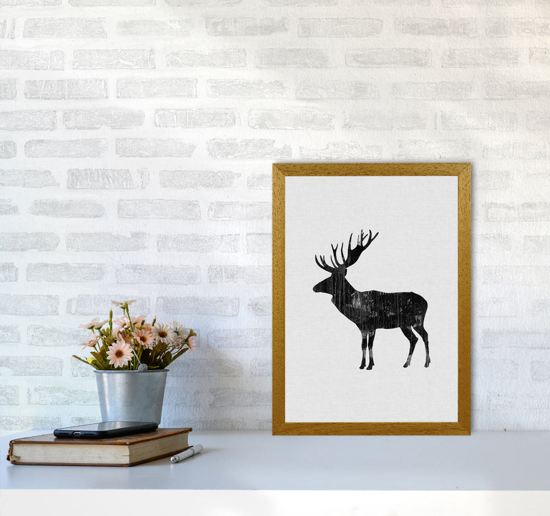 Moose Animal Art Print By Orara Studio Animal Art Print A3 Print Only