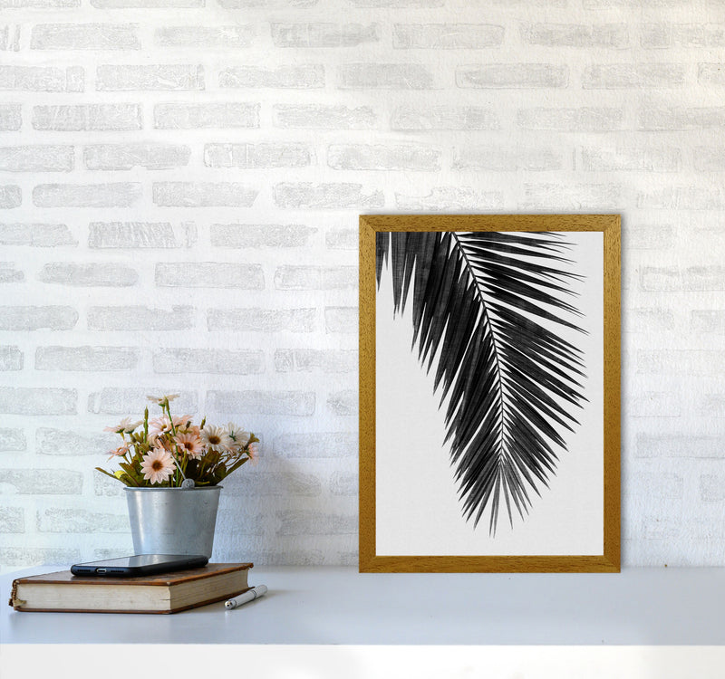 Palm Leaf Black & White I Print By Orara Studio A3 Print Only