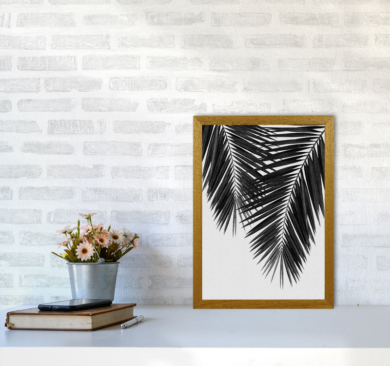 Palm Leaf Black & White II Print By Orara Studio A3 Print Only