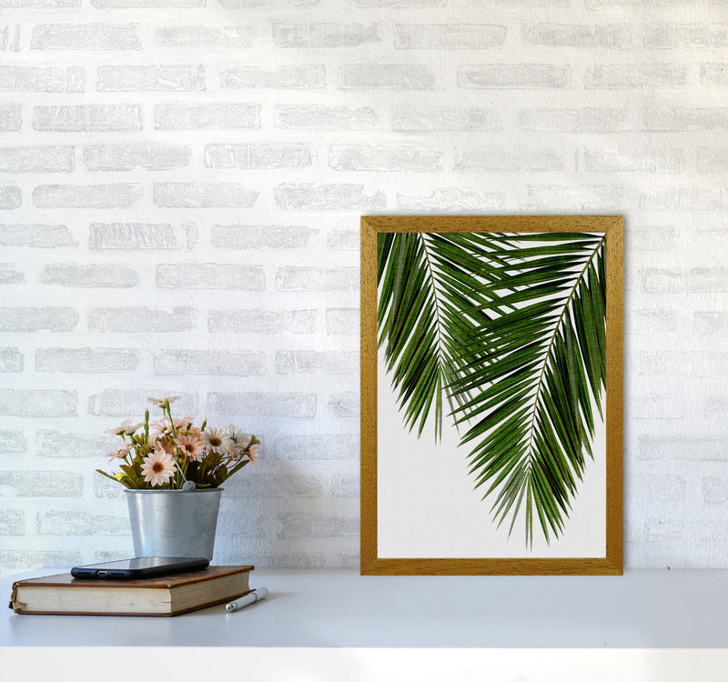 Palm Leaf II Print By Orara Studio, Framed Botanical & Nature Art Print A3 Print Only