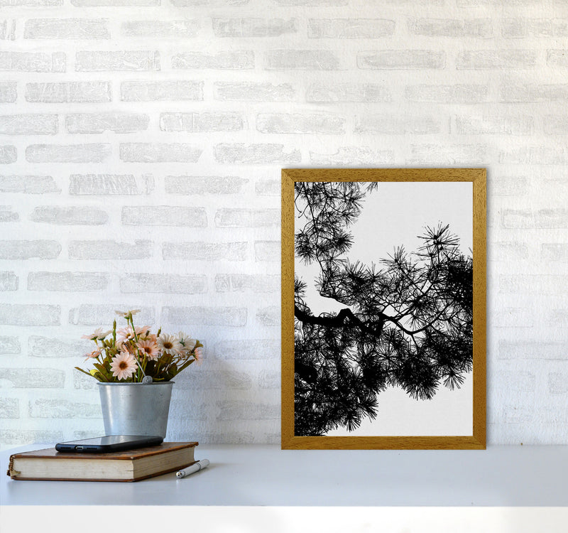 Pine Tree Black & White Print By Orara Studio A3 Print Only