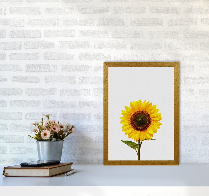 Sunflower Still Life Print By Orara Studio, Framed Botanical & Nature Art Print A3 Print Only
