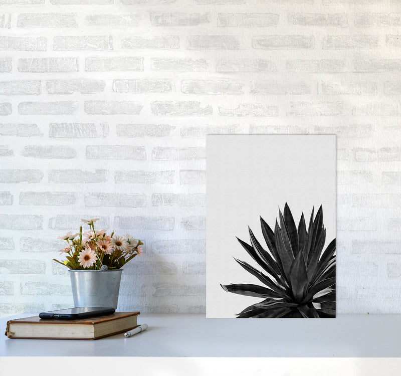 Agave Cactus Black And White Print By Orara Studio, Framed Botanical Nature Art A3 Black Frame