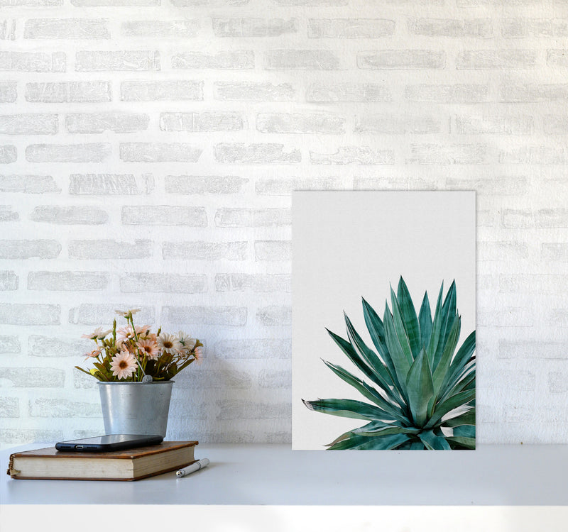 Agave Cactus Print By Orara Studio, Framed Botanical & Nature Art Print A3 Black Frame