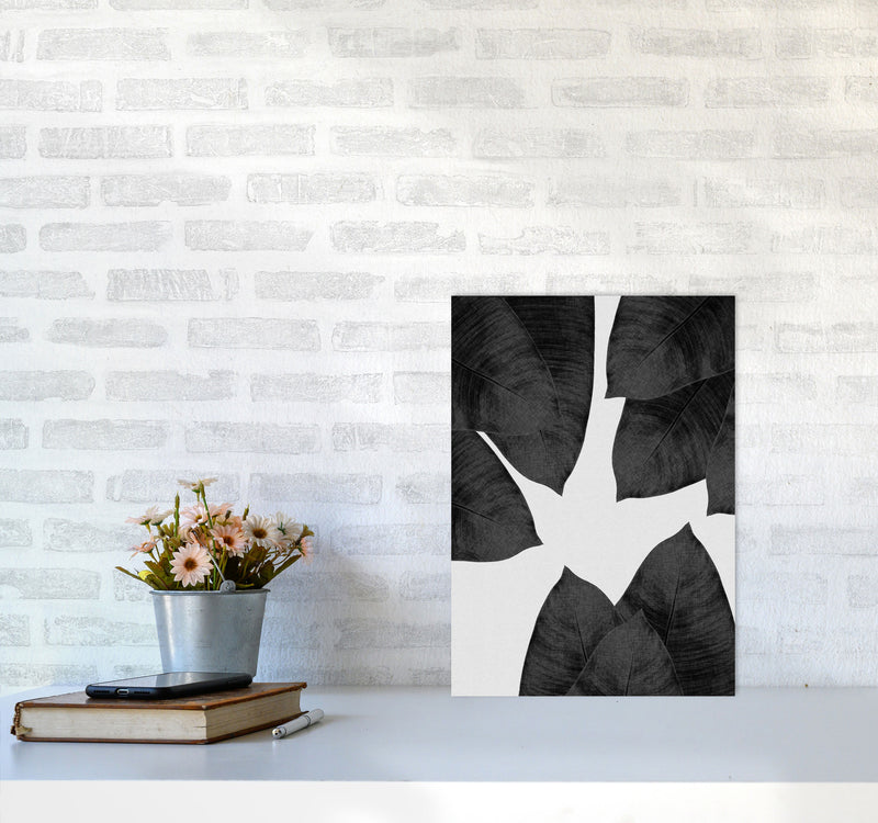 Banana Leaf Black & White I Print By Orara Studio A3 Black Frame