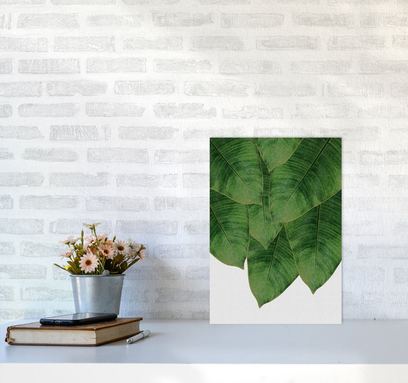 Banana Leaf III Print By Orara Studio, Framed Botanical & Nature Art Print A3 Black Frame