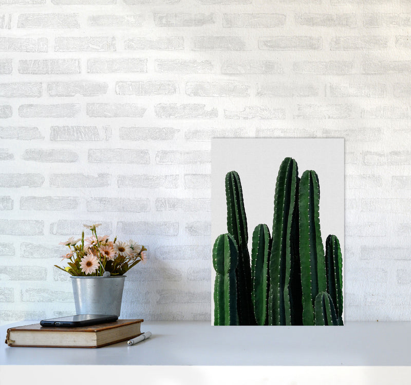 Cactus I Print By Orara Studio, Framed Botanical & Nature Art Print A3 Black Frame