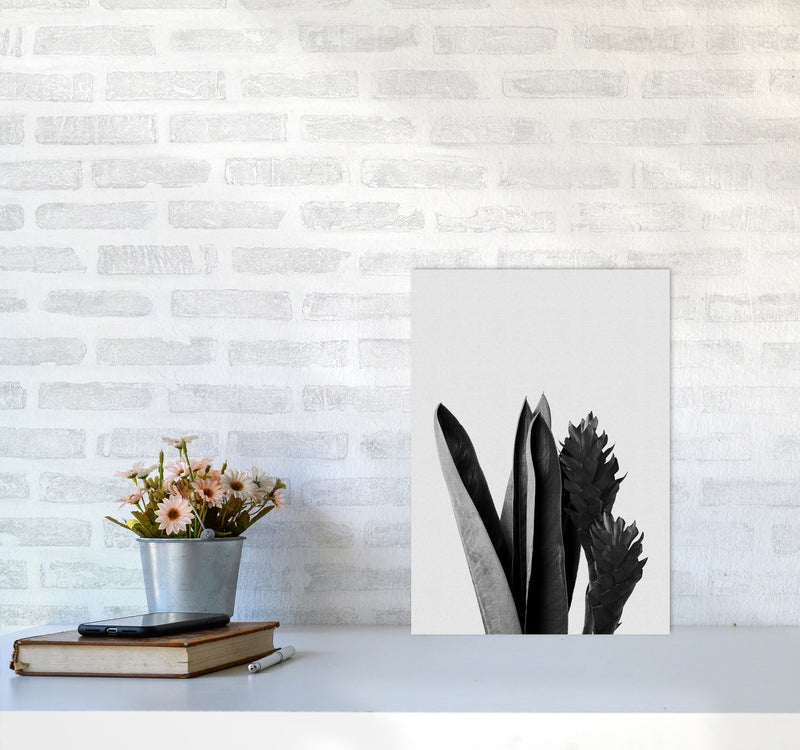 Flower Black & White Print By Orara Studio A3 Black Frame