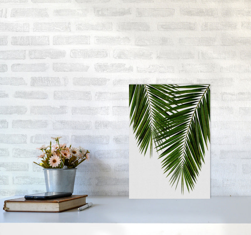 Palm Leaf II Print By Orara Studio, Framed Botanical & Nature Art Print A3 Black Frame