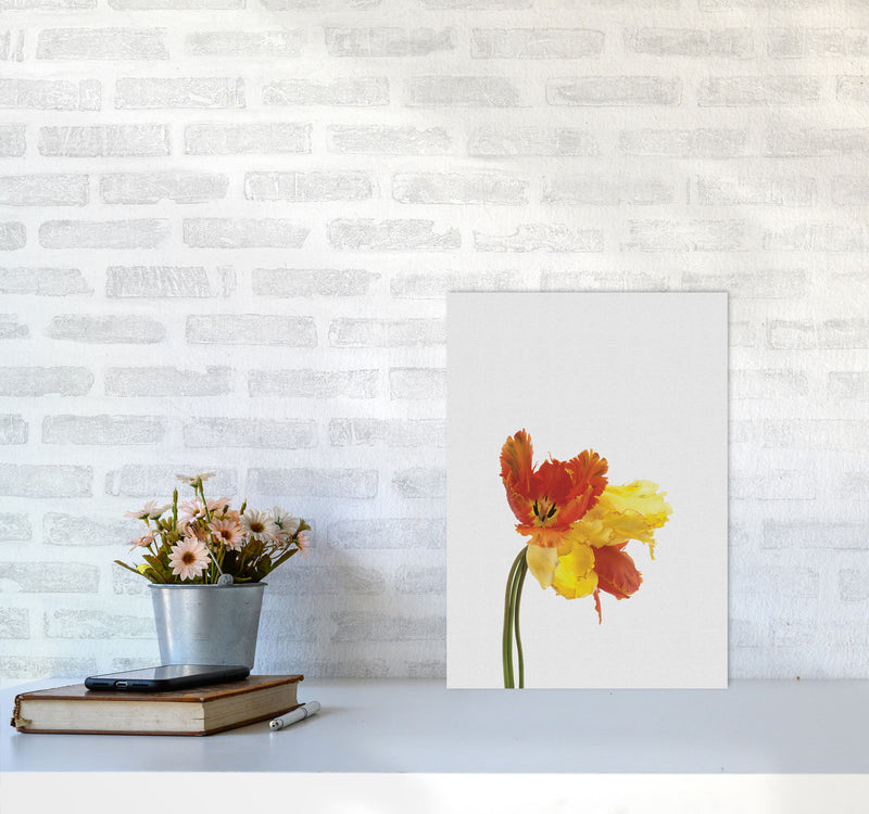 Tulip Still Life Print By Orara Studio, Framed Botanical & Nature Art Print A3 Black Frame