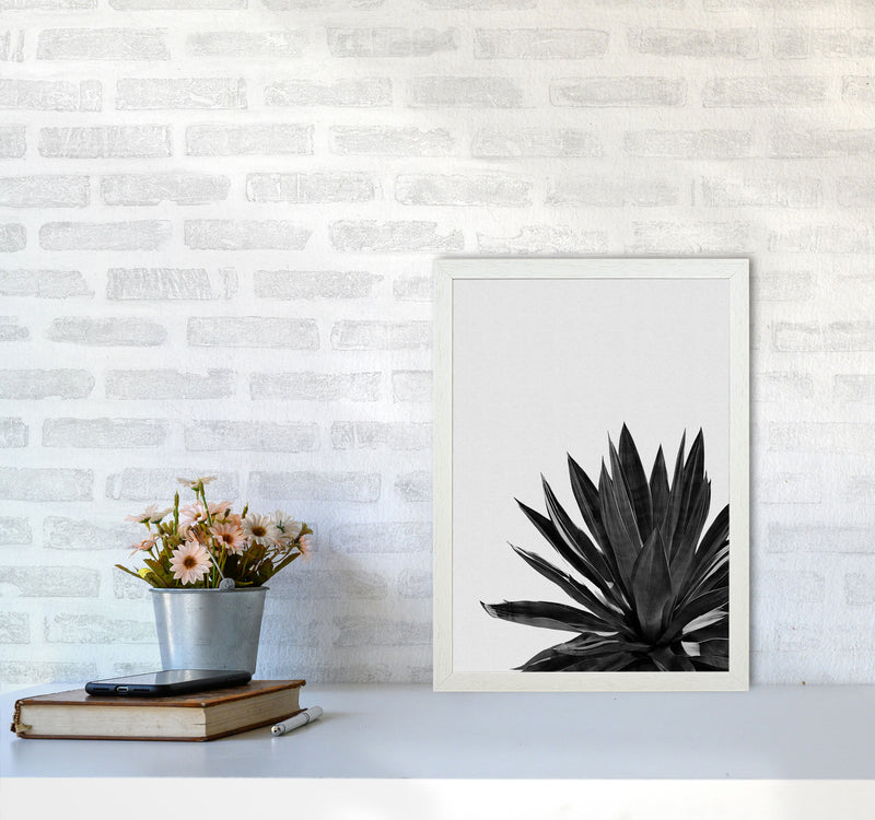 Agave Cactus Black And White Print By Orara Studio, Framed Botanical Nature Art A3 Oak Frame
