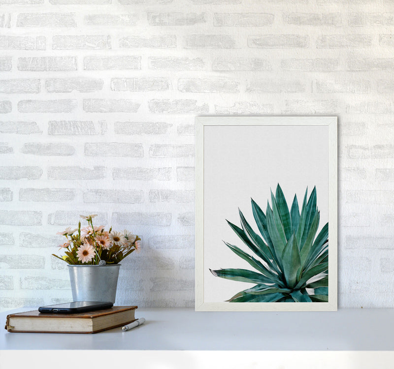 Agave Cactus Print By Orara Studio, Framed Botanical & Nature Art Print A3 Oak Frame