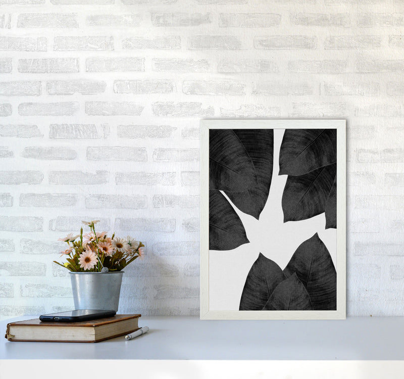 Banana Leaf Black & White I Print By Orara Studio A3 Oak Frame