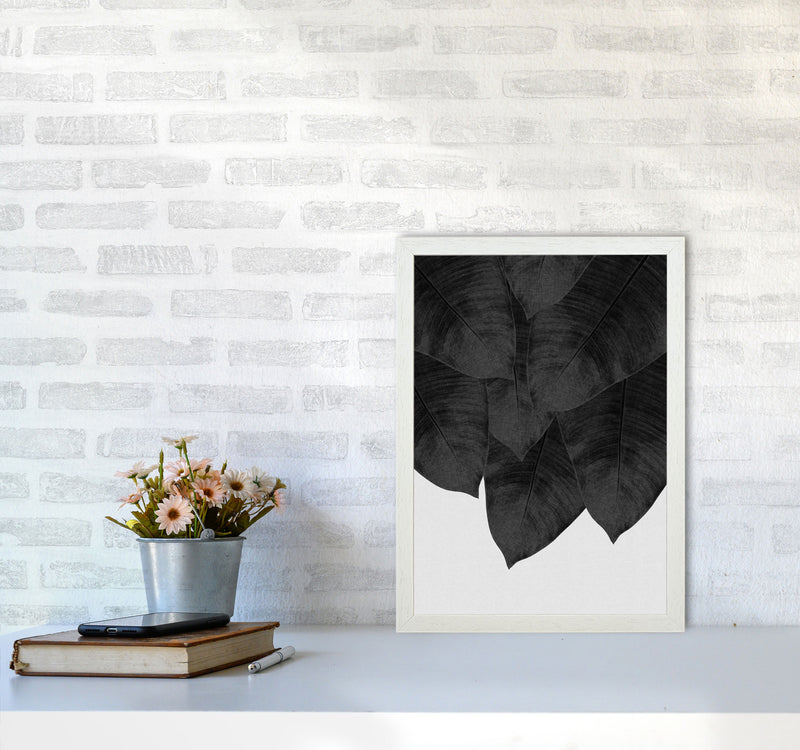 Banana Leaf Black & White III Print By Orara Studio A3 Oak Frame