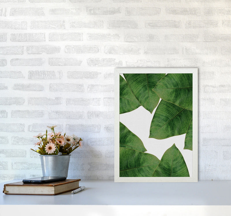 Banana Leaf II Print By Orara Studio, Framed Botanical & Nature Art Print A3 Oak Frame