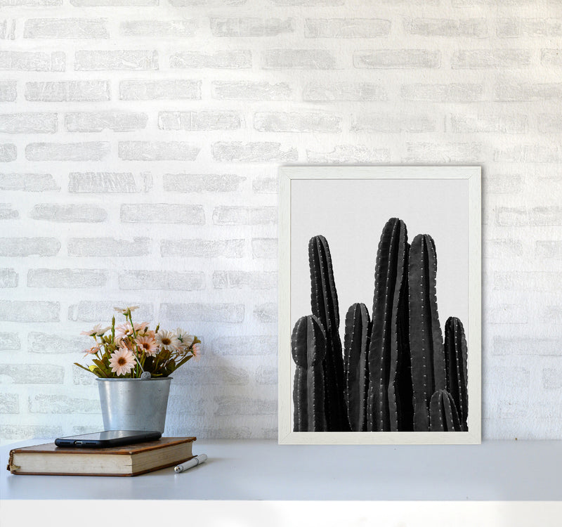 Cactus Black And White Print By Orara Studio, Framed Botanical Art A3 Oak Frame