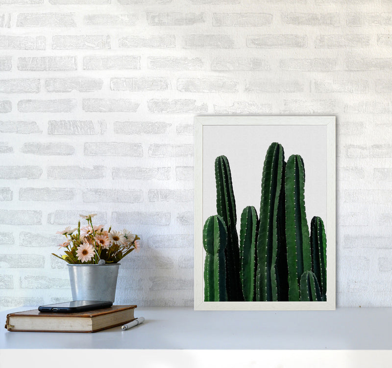 Cactus I Print By Orara Studio, Framed Botanical & Nature Art Print A3 Oak Frame