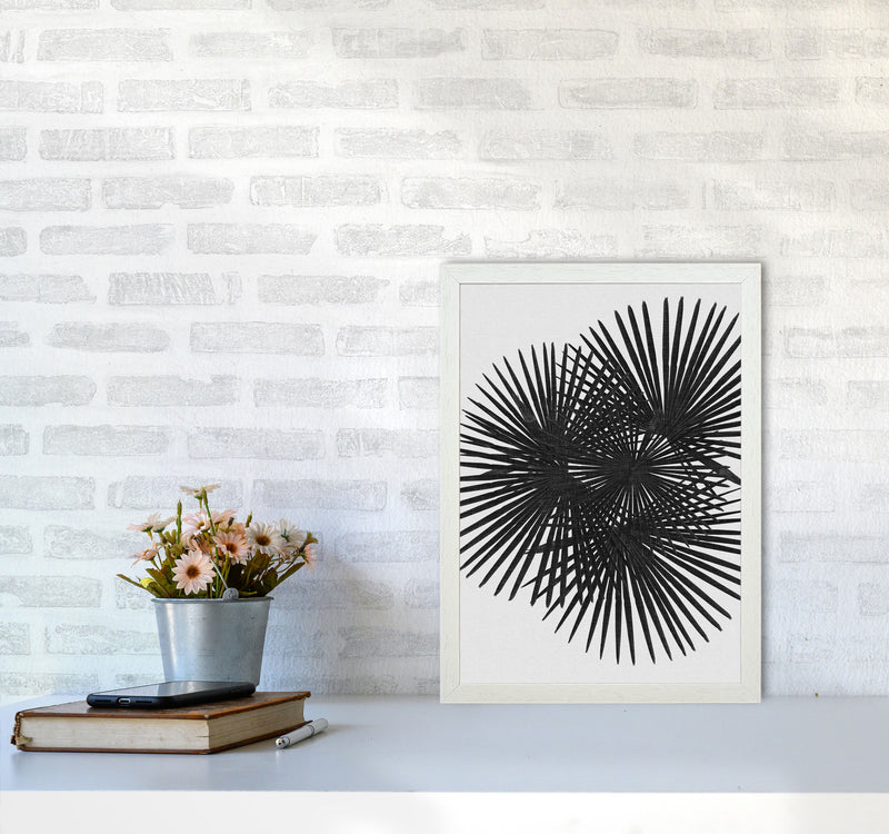 Fan Palm Black & White Print By Orara Studio A3 Oak Frame