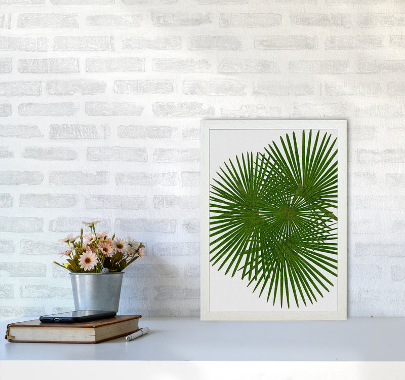 Fan Palm Print By Orara Studio, Framed Botanical & Nature Art Print A3 Oak Frame
