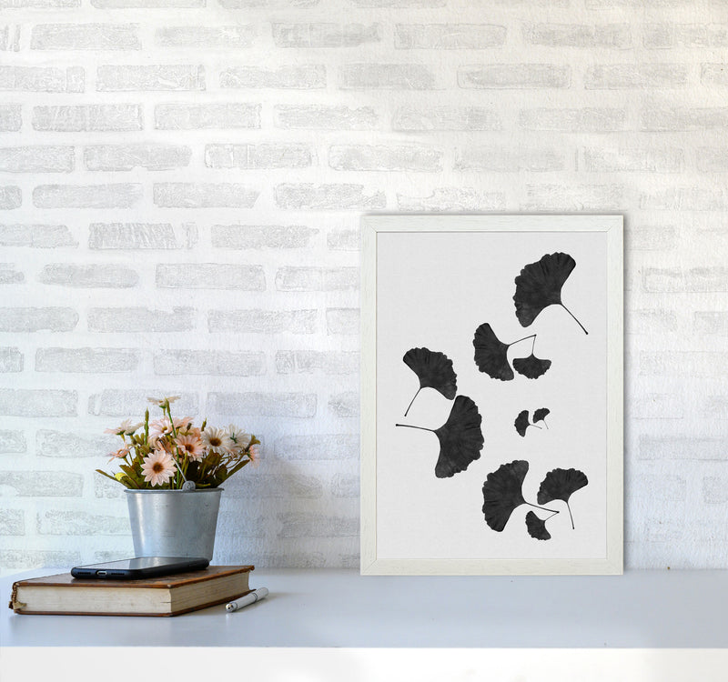 Ginkgo Leaf Black & White I Print By Orara Studio A3 Oak Frame