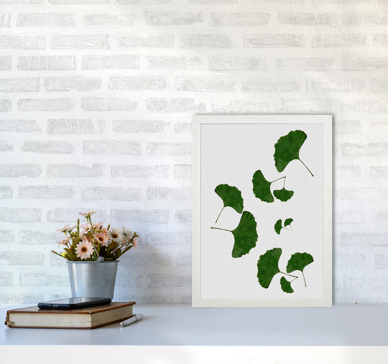 Ginkgo Leaf I Print By Orara Studio, Framed Botanical & Nature Art Print A3 Oak Frame
