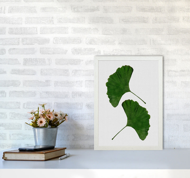 Ginkgo Leaf II Print By Orara Studio, Framed Botanical & Nature Art Print A3 Oak Frame
