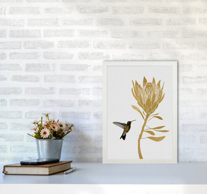 Hummingbird & Flower I Print By Orara Studio A3 Oak Frame