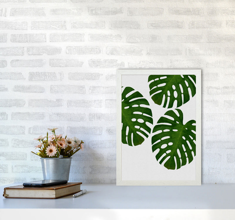 Monstera Leaf III Print By Orara Studio, Framed Botanical & Nature Art Print A3 Oak Frame