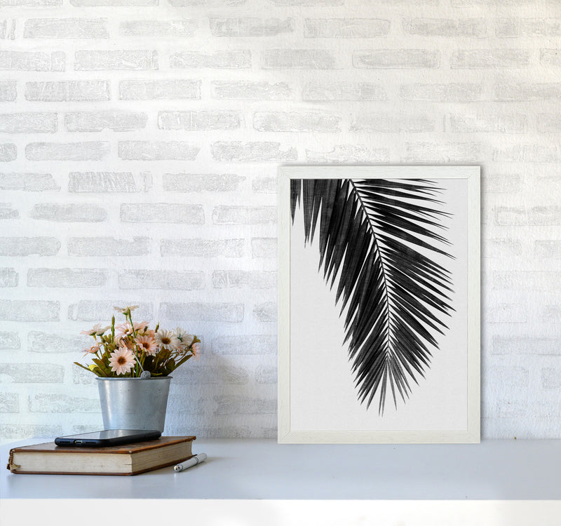Palm Leaf Black & White I Print By Orara Studio A3 Oak Frame