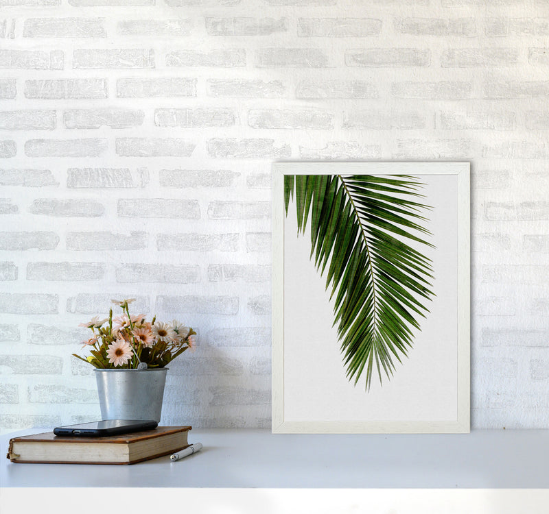 Palm Leaf I Print By Orara Studio, Framed Botanical & Nature Art Print A3 Oak Frame