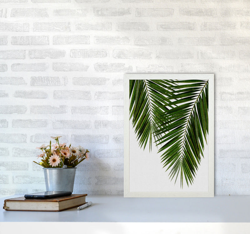 Palm Leaf II Print By Orara Studio, Framed Botanical & Nature Art Print A3 Oak Frame