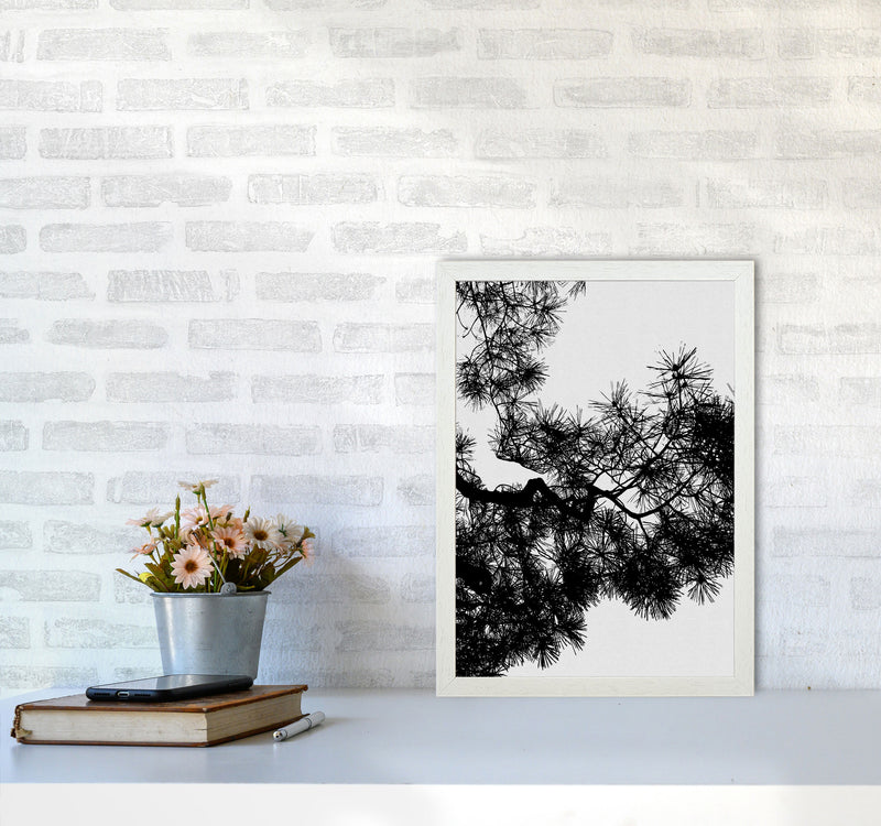 Pine Tree Black & White Print By Orara Studio A3 Oak Frame